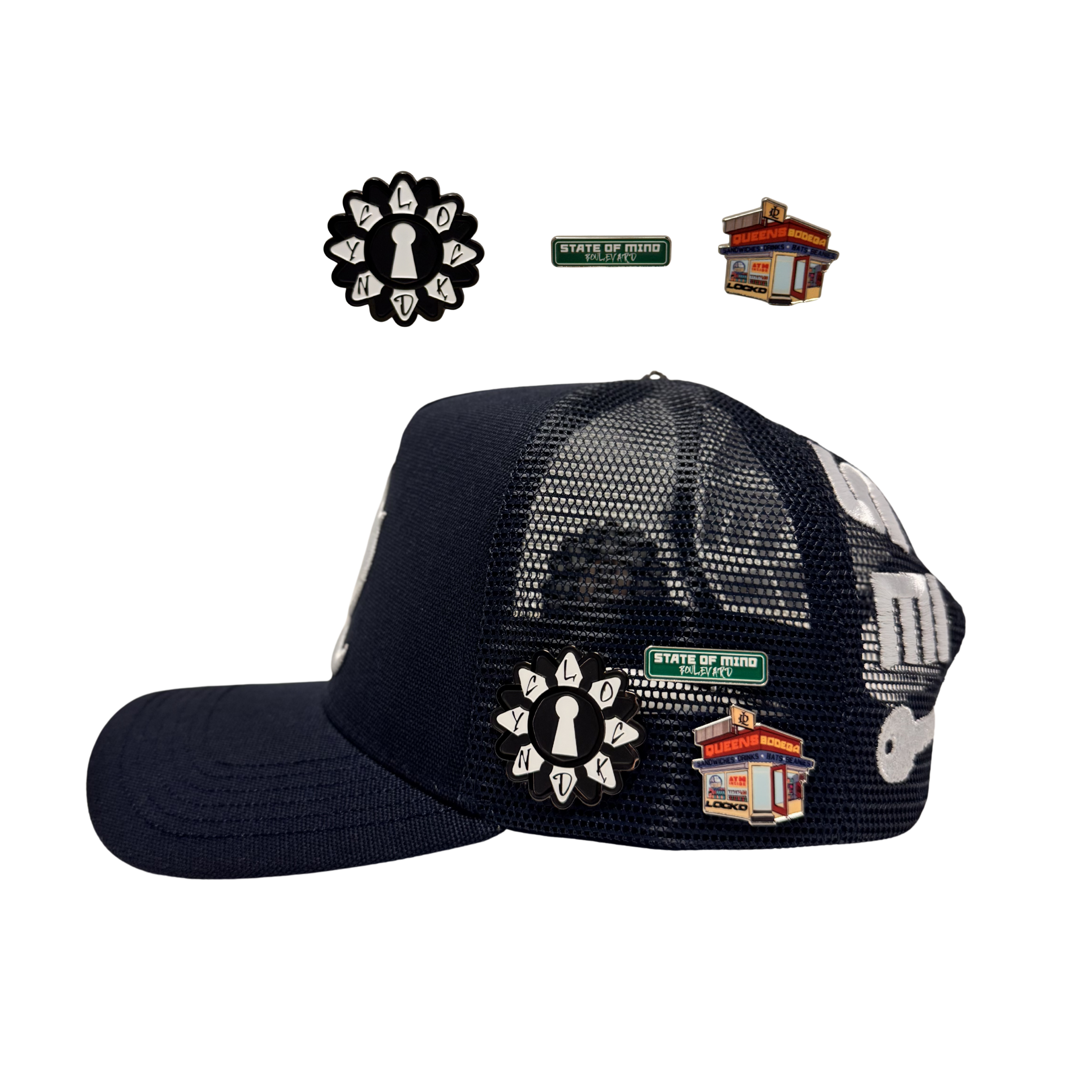 V1 PINS